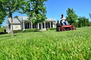 Prism Realty Management - How to Find the Right Landscaper - Best Austin Real Estate Broker - Best Austin Property Manager - Best Austin Association Manager