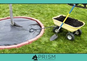 Prism Realty Management - HOA Maintenance Plans to Make Now - Best Austin Real Estate Broker - Best Austin HOA Manager - Best Austin Association Manager - Best Austin Realtors - Austin HOAs