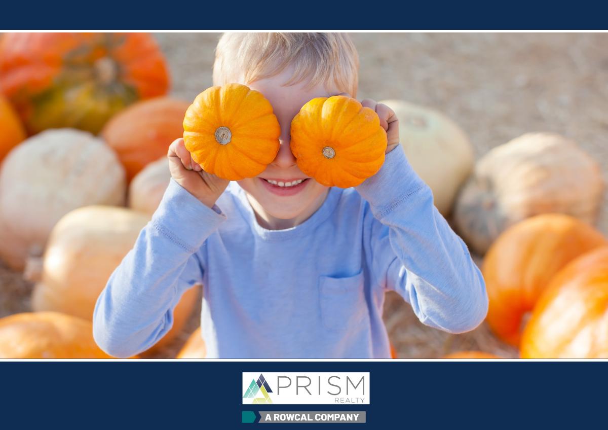 Jump Into Fall With These Fun Austin Area Festivals And Events - Prism Real Estate - Prism Realty - Michele Eilers - Austin Real Estate - Prism Real Estate Austin